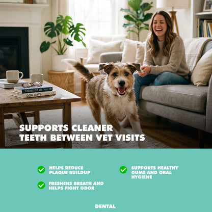 Dual Enzyme Formula Toothpaste for Dogs and Cats