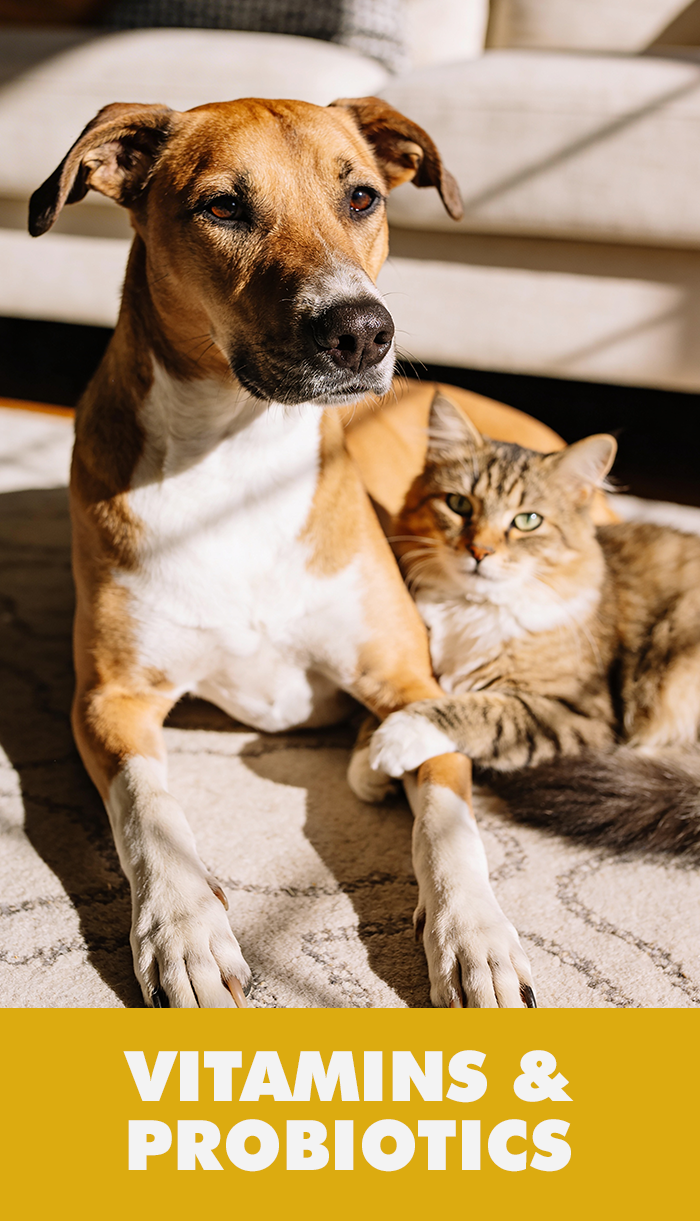 Vitamins & Probiotics