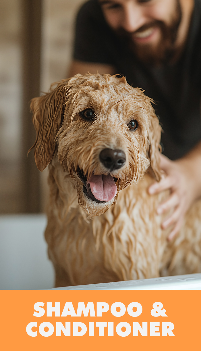 Shampoo & Conditioner