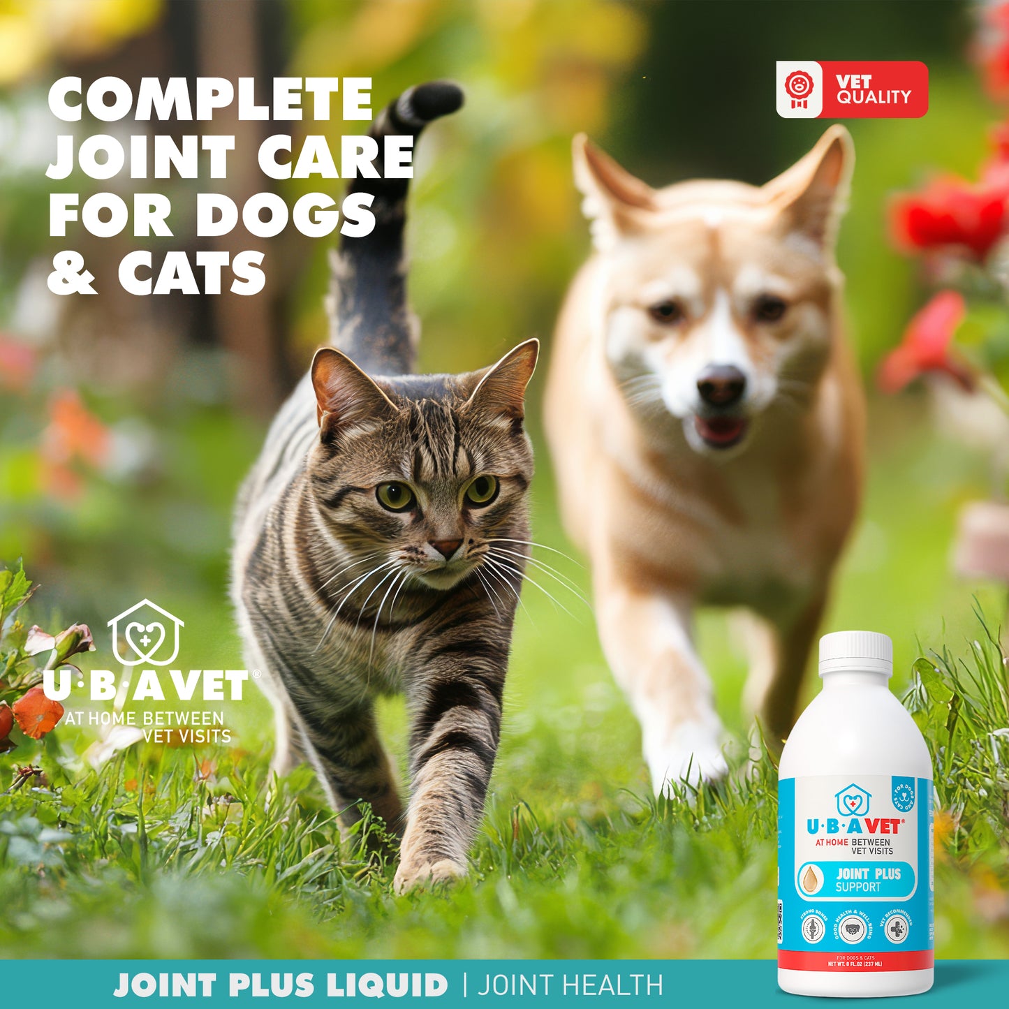 Joint Plus Liquid (8fl .oz)