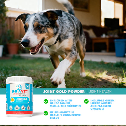 Joint Gold Care Powder (8.8 oz)