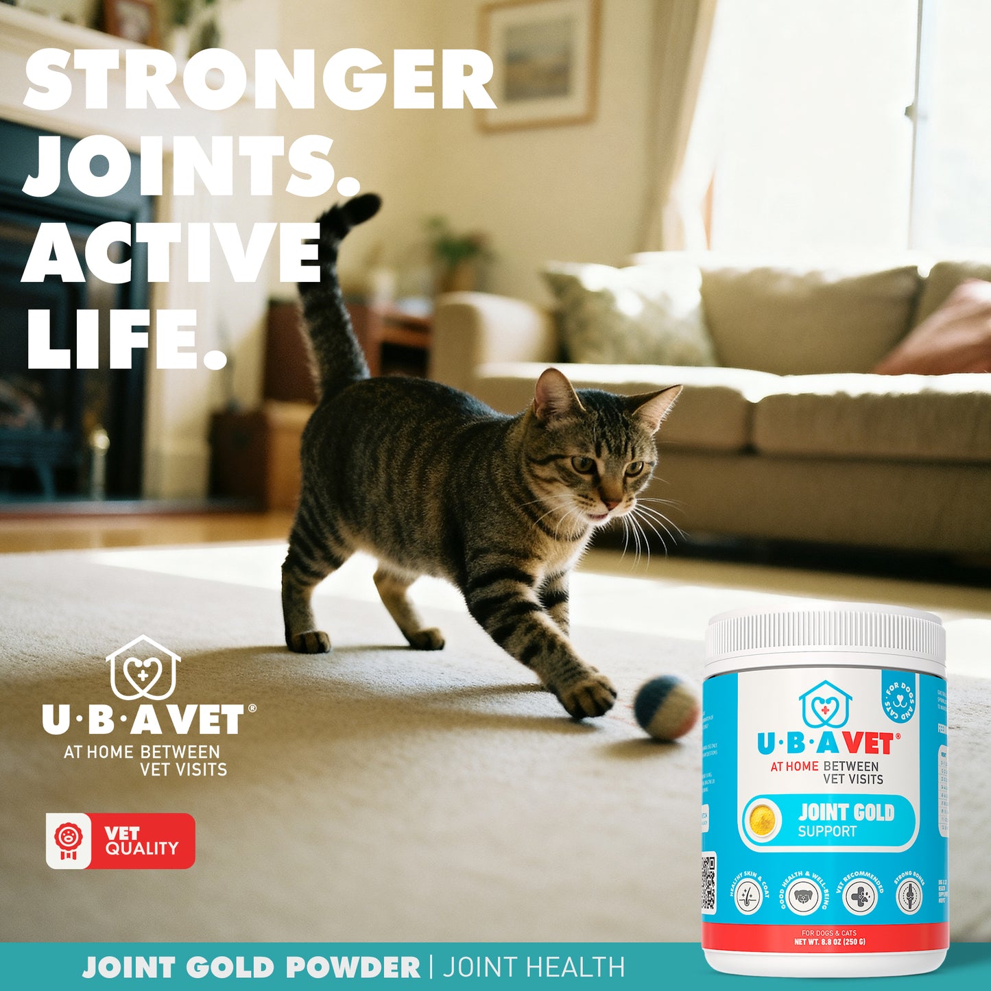 Joint Gold Care Powder (8.8 oz)