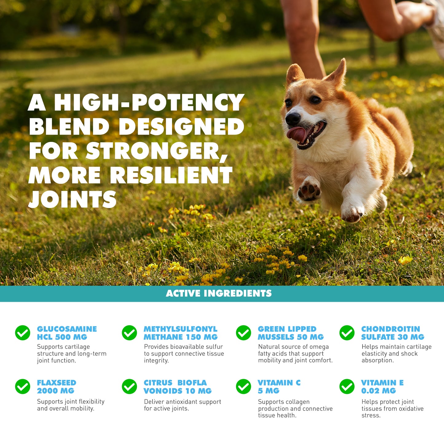 Joint Gold Care Powder (8.8 oz)