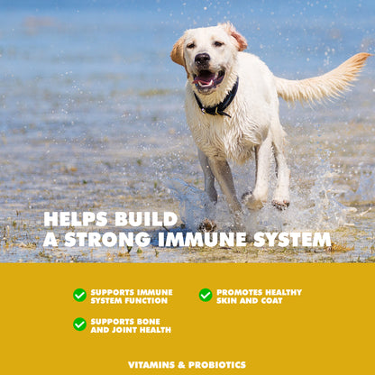 Vitamin and Mineral Tablet for Dogs (90ct)