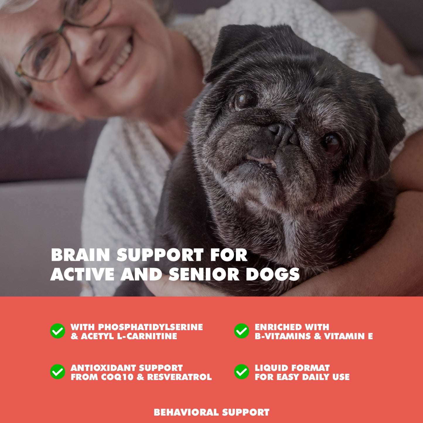 Brain & Memory Support for Senior Dogs (90ct)