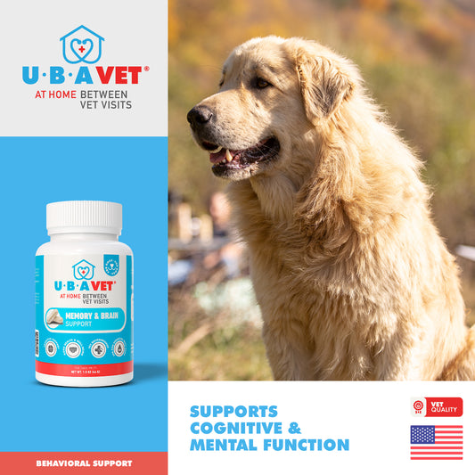 Brain & Memory Support for Senior Dogs (90ct)