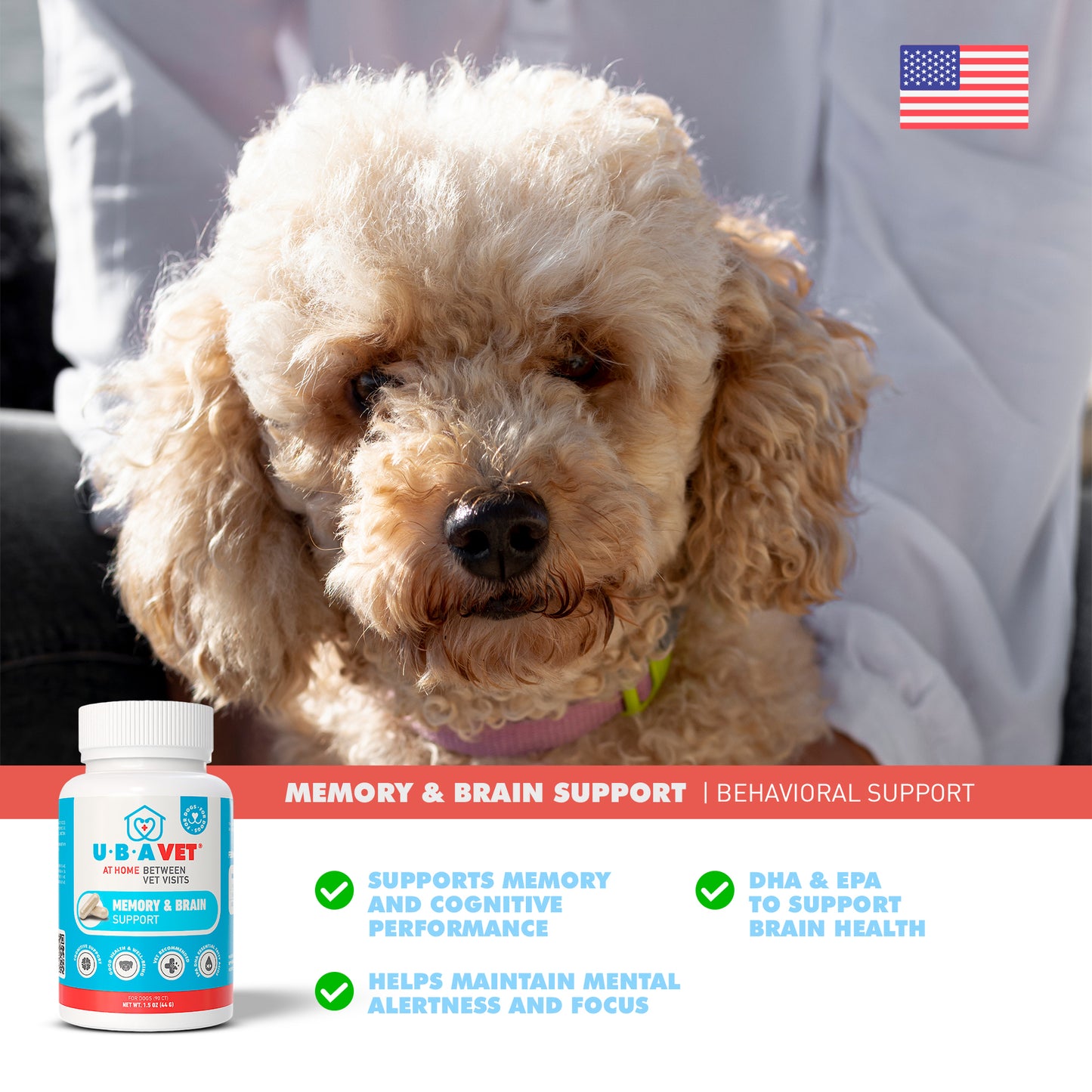 Brain & Memory Support for Senior Dogs (90ct)