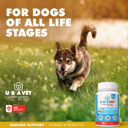 Vitamin and Mineral Tablet for Dogs (90ct)