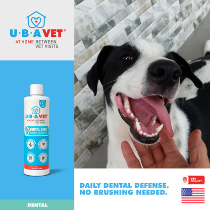 Dental Care Water Additive (16.9fl/oz)