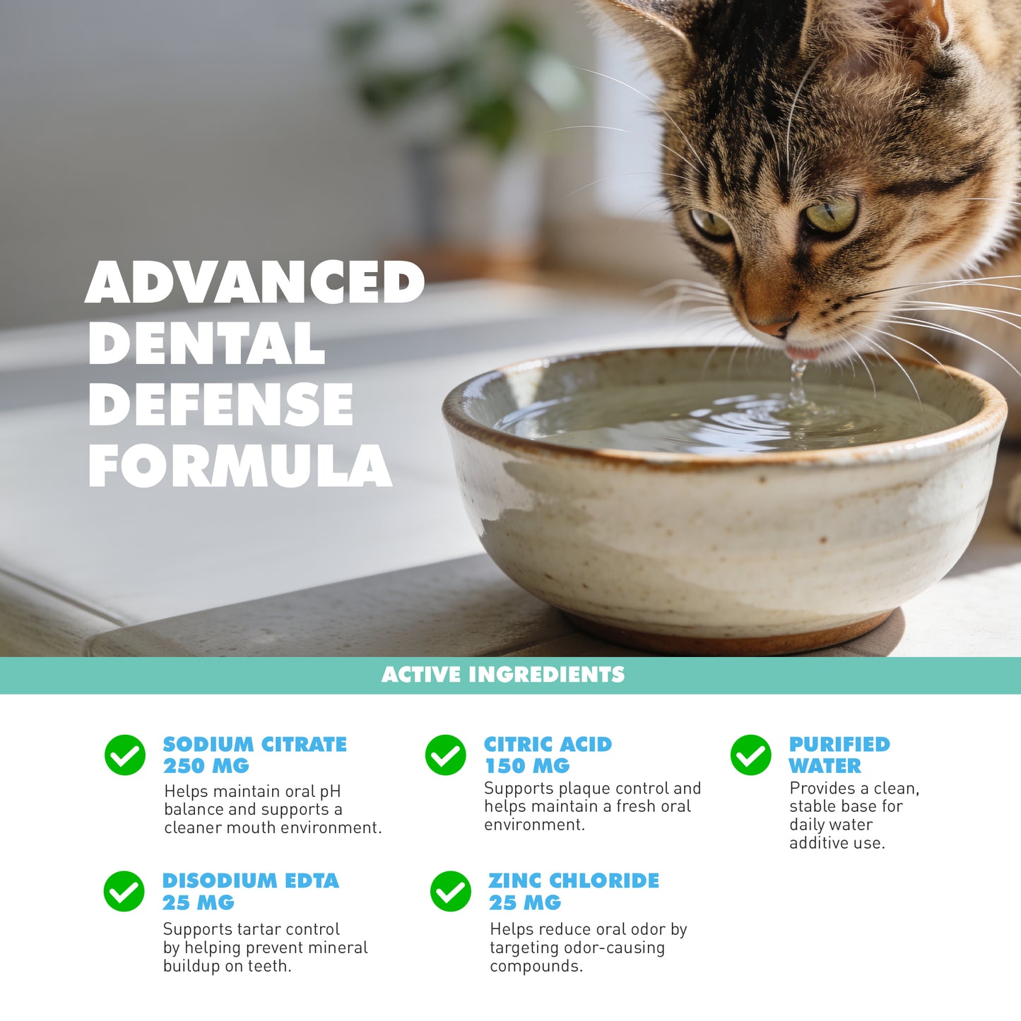 Dental Care Water Additive (16.9fl/oz)