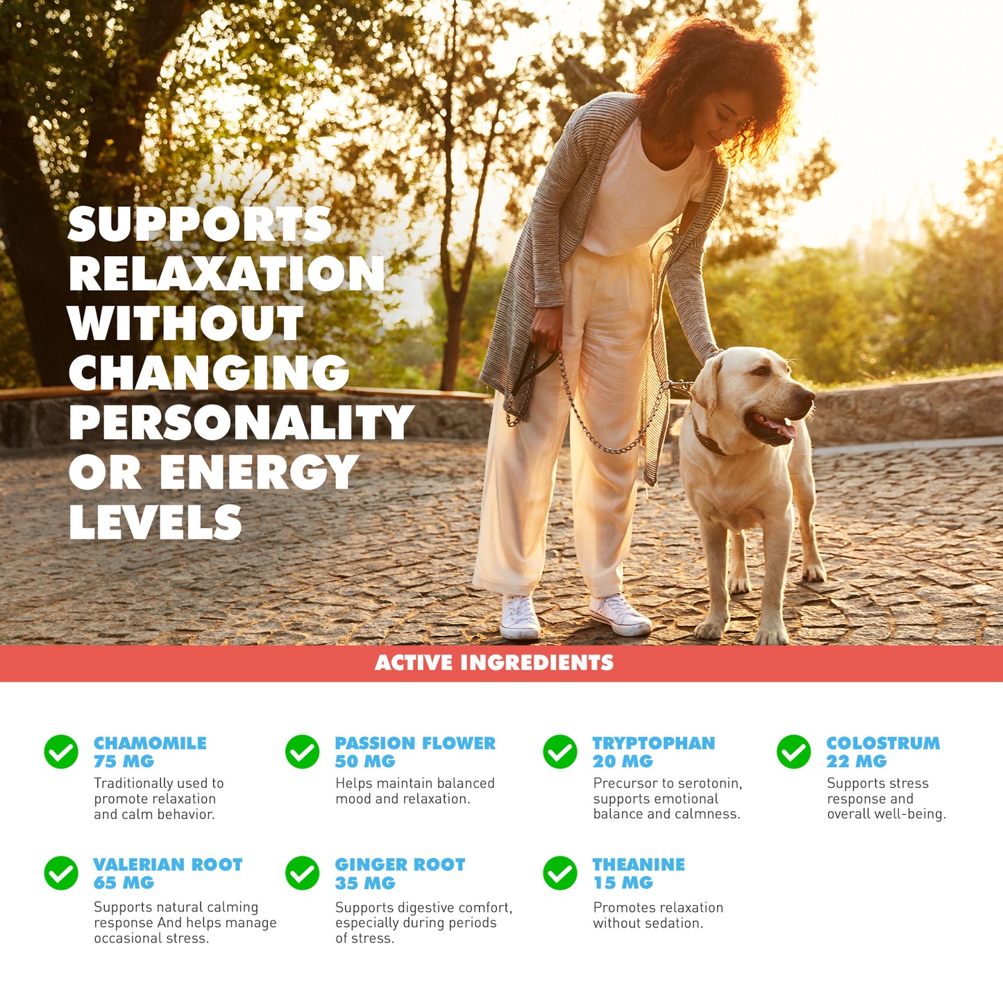 Calming Soft Chews (48ct and 90ct)