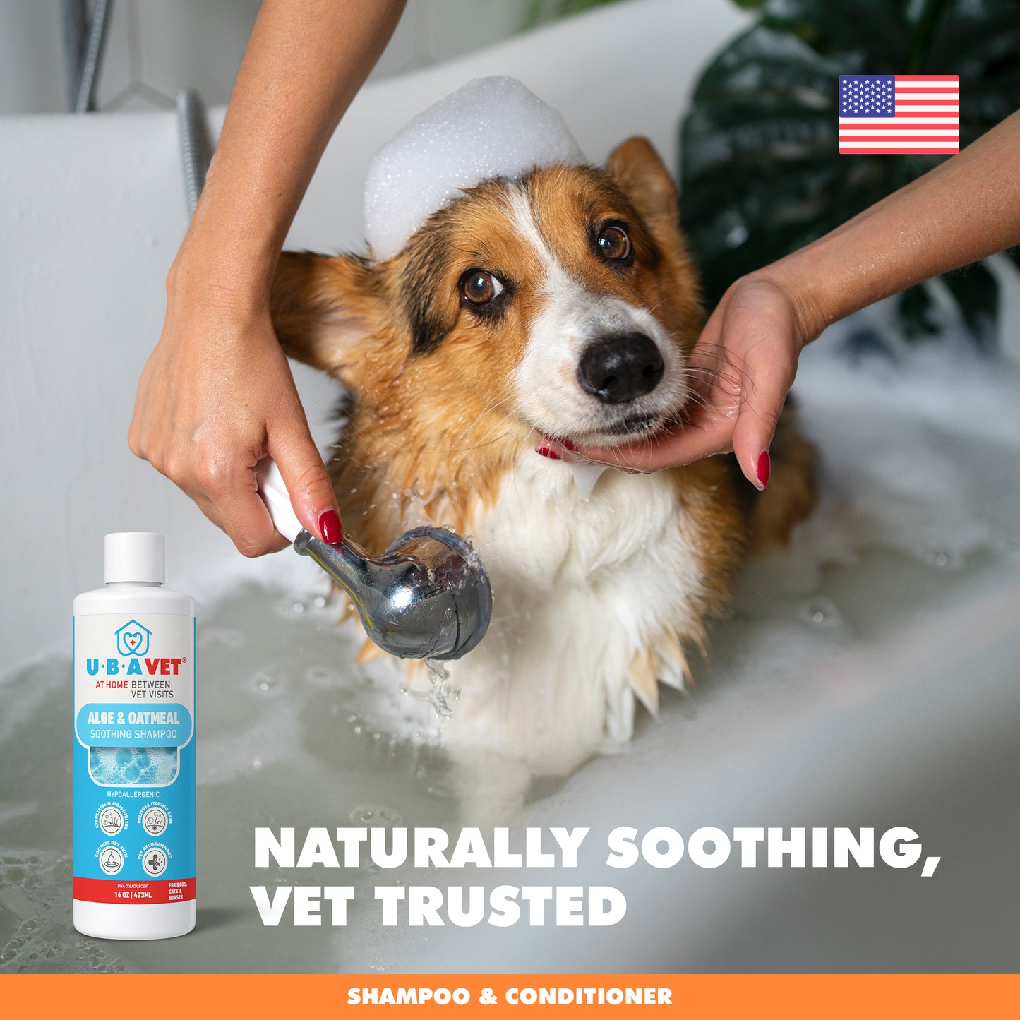 Aloe & Oatmeal Shampoo (16.9fl/oz)